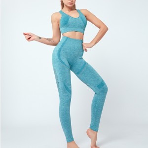 Ptsports seamless yoga backless set women pure color hot fashion sports bra and leggings women sexy sport wear